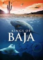 Watch Kings of Baja Megashare8