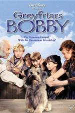 Watch Greyfriars Bobby The True Story of a Dog Megashare8