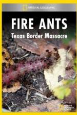 Watch National Geographic Fire Ants: Texas Border Massacre Megashare8
