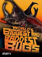 Watch World\'s Biggest and Baddest Bugs Megashare8
