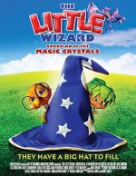 Watch The Little Wizard: Guardian of the Magic Crystals Megashare8