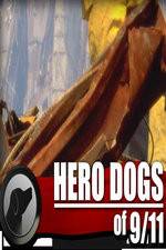 Watch Hero Dogs of 911 Documentary Special Megashare8