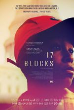 Watch 17 Blocks Megashare8