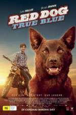 Watch Red Dog True Blue Megashare8