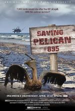 Watch Saving Pelican 895 (Short 2011) Megashare8