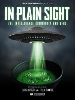 Watch In Plain Sight: The Intelligence Community and UFOs Megashare8