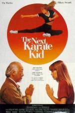 Watch The Next Karate Kid Megashare8