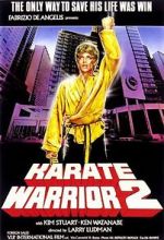 Watch Karate Warrior 2 Megashare8