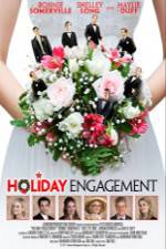 Watch Holiday Engagement Megashare8