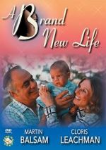 Watch A Brand New Life Megashare8