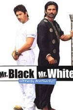 Watch Mr White Mr Black Megashare8