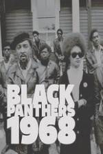 Watch Black Panthers Megashare8