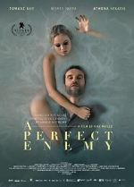 Watch A Perfect Enemy Megashare8