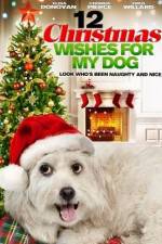 Watch 12 Christmas Wishes For My Dog Megashare8