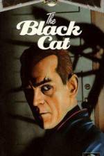 Watch The Black Cat Megashare8