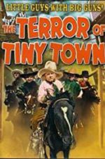 Watch The Terror of Tiny Town Megashare8