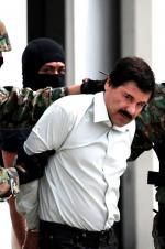 Watch The Rise and Fall of El Chapo Megashare8