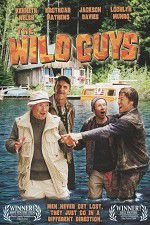 Watch The Wild Guys Megashare8
