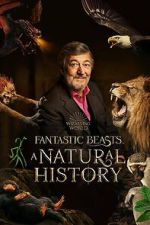Watch Fantastic Beasts: A Natural History Megashare8