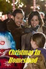 Watch Christmas in Homestead Megashare8