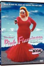Watch Pink Flamingos Megashare8