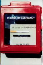 Watch In Case of Emergency Megashare8