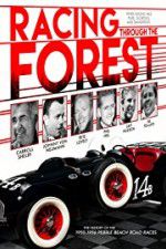 Watch Racing Through the Forest Megashare8