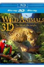 Watch Wild Animals - The Life of the Jungle 3D Megashare8