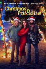 Watch Christmas in Paradise Megashare8