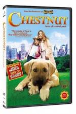 Watch Chestnut - Hero of Central Park Megashare8