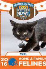 Watch Kitten Bowl III Megashare8