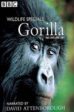 Watch Gorilla Revisited with David Attenborough Megashare8