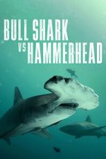 Watch Bull Shark vs Hammerhead Megashare8