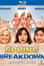 Watch Spring Breakdown Megashare8