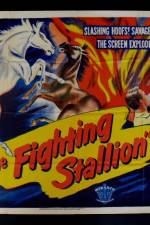 Watch The Fighting Stallion Megashare8