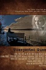 Watch Unexpected Guest Megashare8