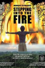 Watch Stepping Into the Fire Megashare8