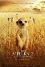 Watch The Meerkats Megashare8