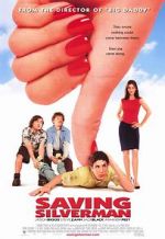 Watch Saving Silverman Megashare8