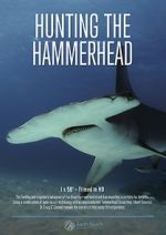 Watch Hunting the Hammerhead Megashare8
