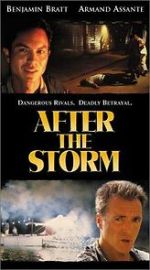 Watch After the Storm Megashare8