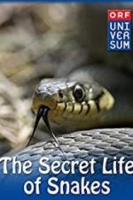 Watch The Secret Life of Snakes Megashare8