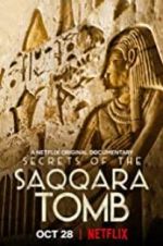 Watch Secrets of the Saqqara Tomb Megashare8