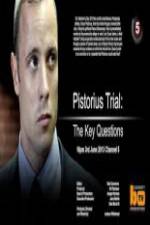 Watch Pistorius Trial: The Key Questions Megashare8