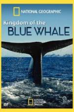 Watch National Geographic Kingdom of Blue Whale Megashare8