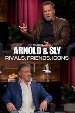 Watch Arnold & Sly: Rivals, Friends, Icons Megashare8