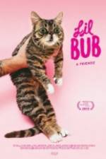 Watch Lil Bub & Friendz Megashare8