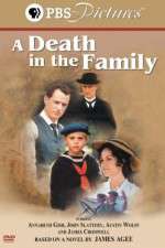 Watch A Death in the Family Megashare8