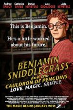 Watch Benjamin Sniddlegrass and the Cauldron of Penguins Megashare8