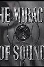 Watch The Miracle of Sound Megashare8